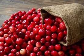 Cranberry (Turna Yemişi) Nedir? Turna Yemişi Faydaları Nelerdir?