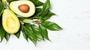 Avokado Yaprağının Faydaları Nelerdir?