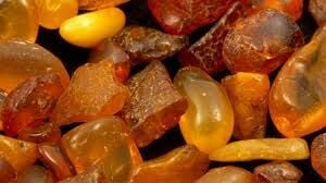 Kehribar Taşı Nedir, Nerelerde Ve Nasıl Bulunur? Kehribar Taşı Nasıl Anlaşılır? Özellikleri Ve Faydaları