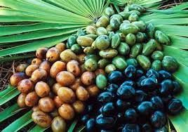 Erkekler için çok faydalı: Saw Palmetto