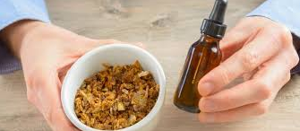 Arıların Gizli Kalkanı: Propolisin Bağışıklığı Güçlendiren ve Hastalıklarla Savaşan 5 Süper Gücü