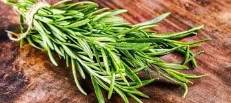 Doğanın En Güçlü Kan Temizleyicisi: Isırgan Otu'nun Eklem Ağrısından Kansızlığa 7 Şifa Sırrı