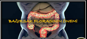 İkinci Beynimiz: Mutluluk ve Zindeliğin Anahtarı Bağırsak Sağlığı İçin 5 Temel Kural