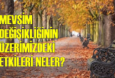 Mevsim Geçişlerinde Enerji Düşüşü Normal Değil: Vücudun İç Saati İçin 4 Bitkisel Uyum Sırrı