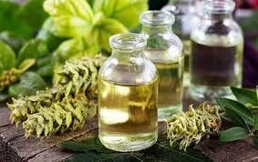 Cilt Üzerinden İyileşme: Bedenin Toksik Yükünü Hafifleten 4 Şifalı Uçucu Yağ Uygulaması