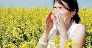 Hassas Bünyelere Doğal Kalkan: Alerjik Sorunlarla Başa Çıkmanın 5 Etkili Yolu
