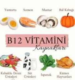 B12 Depolarını Fulleyen Şifa Kaynakları: Doğal ve Güçlü Besinler Listesi