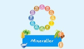 Sağlığın Üçlü Muhafızı: Kalsiyum, Magnezyum ve Çinko Neden Önemli?