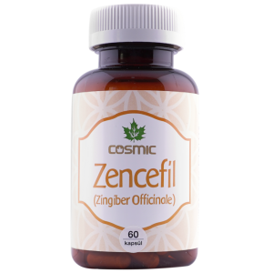 Zencefil Kapsül ( 60 Kapsül )
