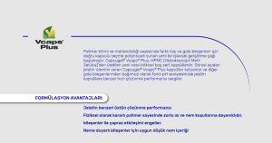 Sarı Kantaron ( 60 Kapsül )