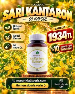 Sarı Kantaron ( 60 Kapsül )
