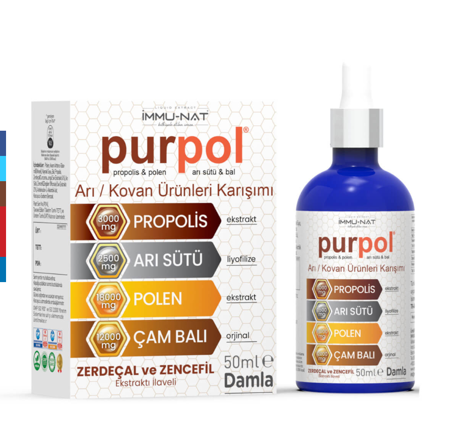 Purpol Arı Kovan Ürünleri 50 ml Damla Ekstrakt (Zerdeçal, Zencefil Ekstraktı İlaveli)