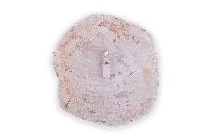 Pembe Kuvars Kolye Ucu Model 1